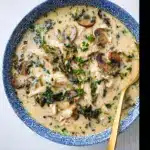 Rotisserie chicken mushroom soup recipe