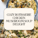 Rotisserie chicken mushroom soup recipe