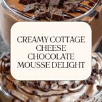 Cottage Cheese Chocolate Mousse Recipe