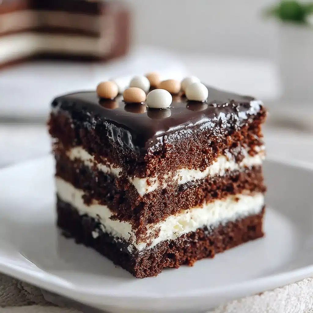 Mississippi Mud Cake Recipe