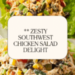 Quick Southwest Chicken Salad Recipe