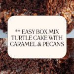 Box Mix Turtle Cake Recipe