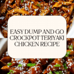 Dump and Go Crockpot Teriyaki Chicken Recipe