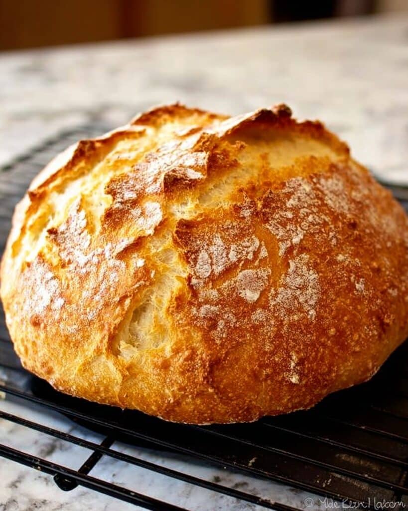 No-Knead Dutch Oven Crusty Bread Recipe